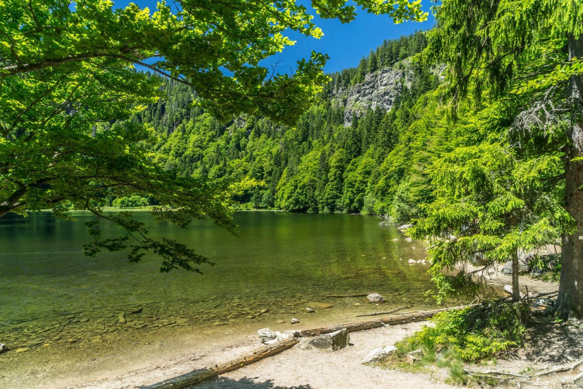 Ferienwohnung Seeblick Nr 2 5-Zimmerwohnung - Feldberg Baerental Rotwasser 外观 照片